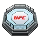 🥊