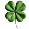 🍀