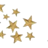 🌟