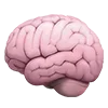 🧠