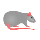 🐁