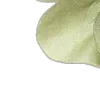 💚