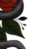 🐍