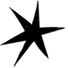 🌟