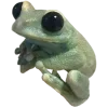 🐸