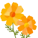 🌼