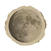 🌝