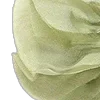 💚