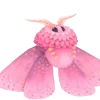 🦋
