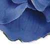 💙