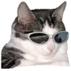 😎