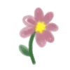 🌺