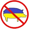 🐖