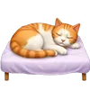 🐱