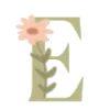 🌺
