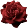 🥀