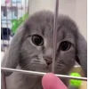 🤩