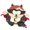 🦝