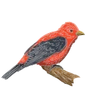 🐦