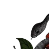 🐍