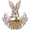 🐇