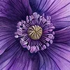 💜