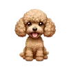 🌟