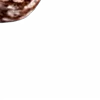 ⭐️