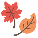 🍂