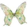 🦋