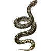 🐍