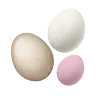 🥚