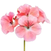 🌸