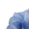 💙