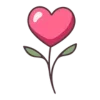 🌺