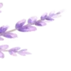 💜