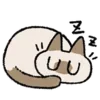 💤