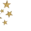 🌟