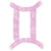 ♊️