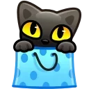 🐈‍⬛
