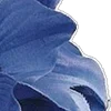 💙