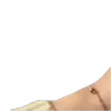 ⭐️