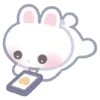 🐰
