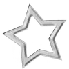 🌟