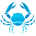 ♋️