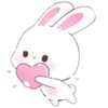 🐰