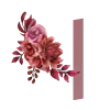 🌺