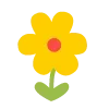 🌼