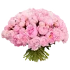 🌺