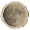 🌝